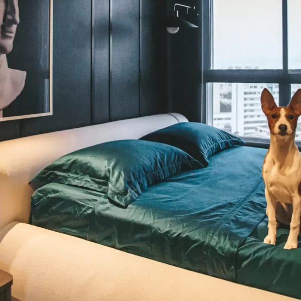 Apartamento Dudu