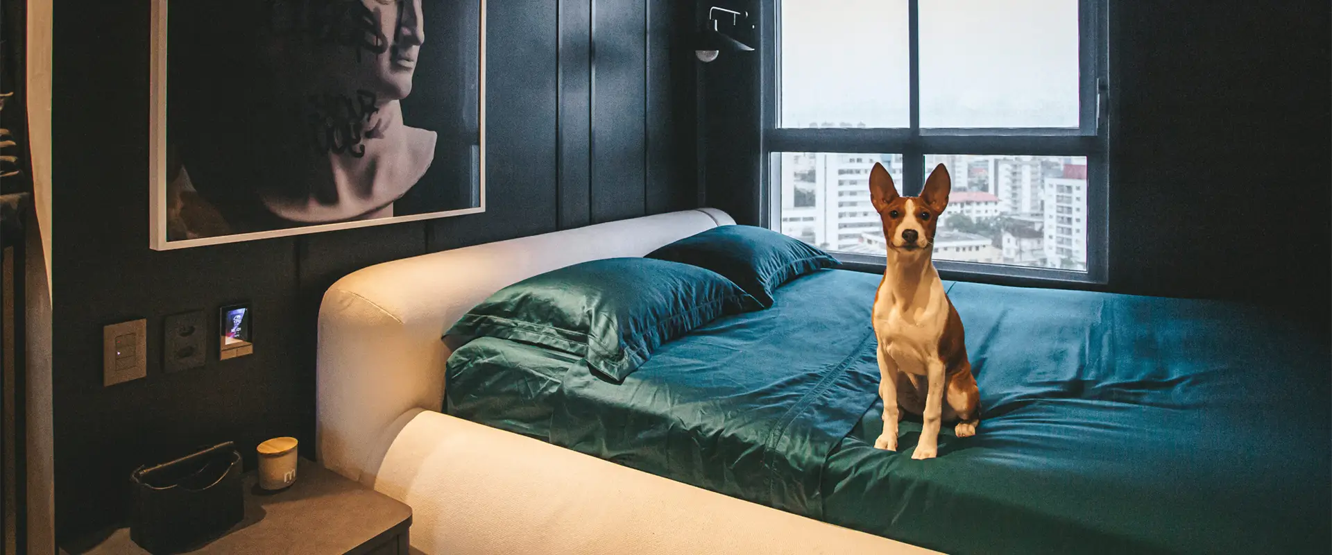Apartamento Dudu